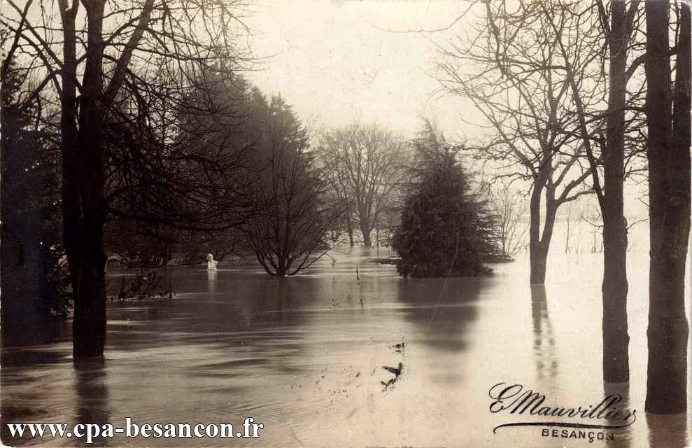 Besançon - Promenade Micaud - Inondations de Janvier 1910